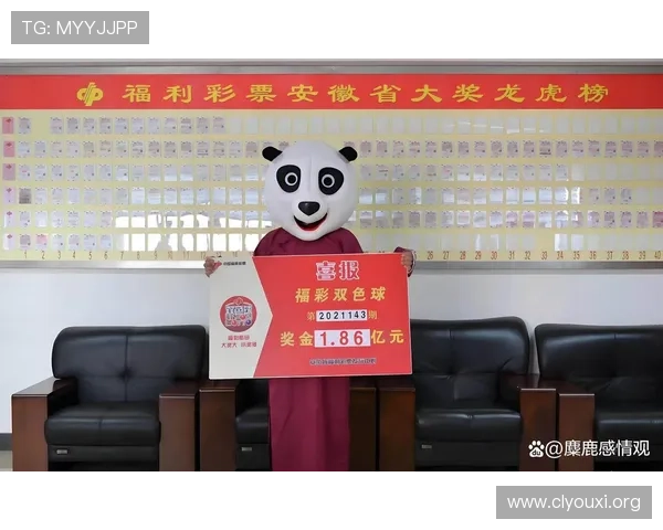 301彩票：揭秘中奖者的独家购彩策略与幸运故事